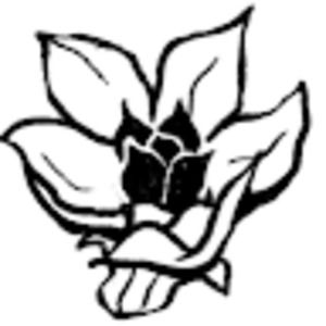 Meet your Posher, Alison